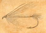 Supervisor Streamer - Silverpoint on Mixed Media by Ed Kirkland
