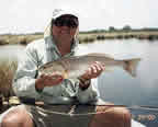 Bill Ramey