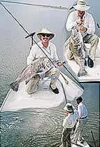 Black Drum