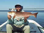 South Louisiana Reds