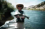 The San Juan in New Mexico
