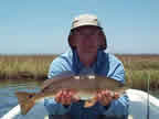 South Louisiana Reds