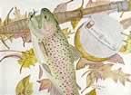 Watercolor by Ed Kirkland